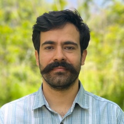 Mojtaba B.